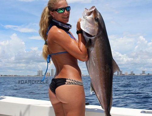 Darcizzle shows you what to do!