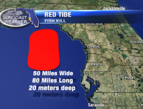 Massive Red Tide Bloom in Gulf
