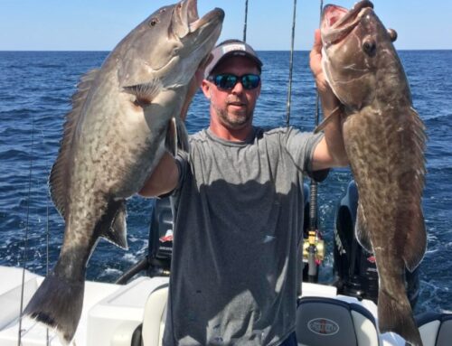 Championship Offshore Outfitting and Charters